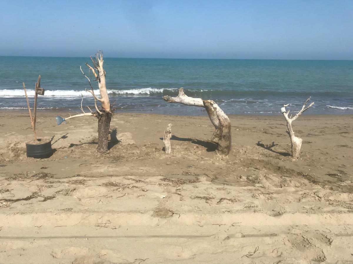 Palma Apartments دراس المظهر الخارجي الصورة